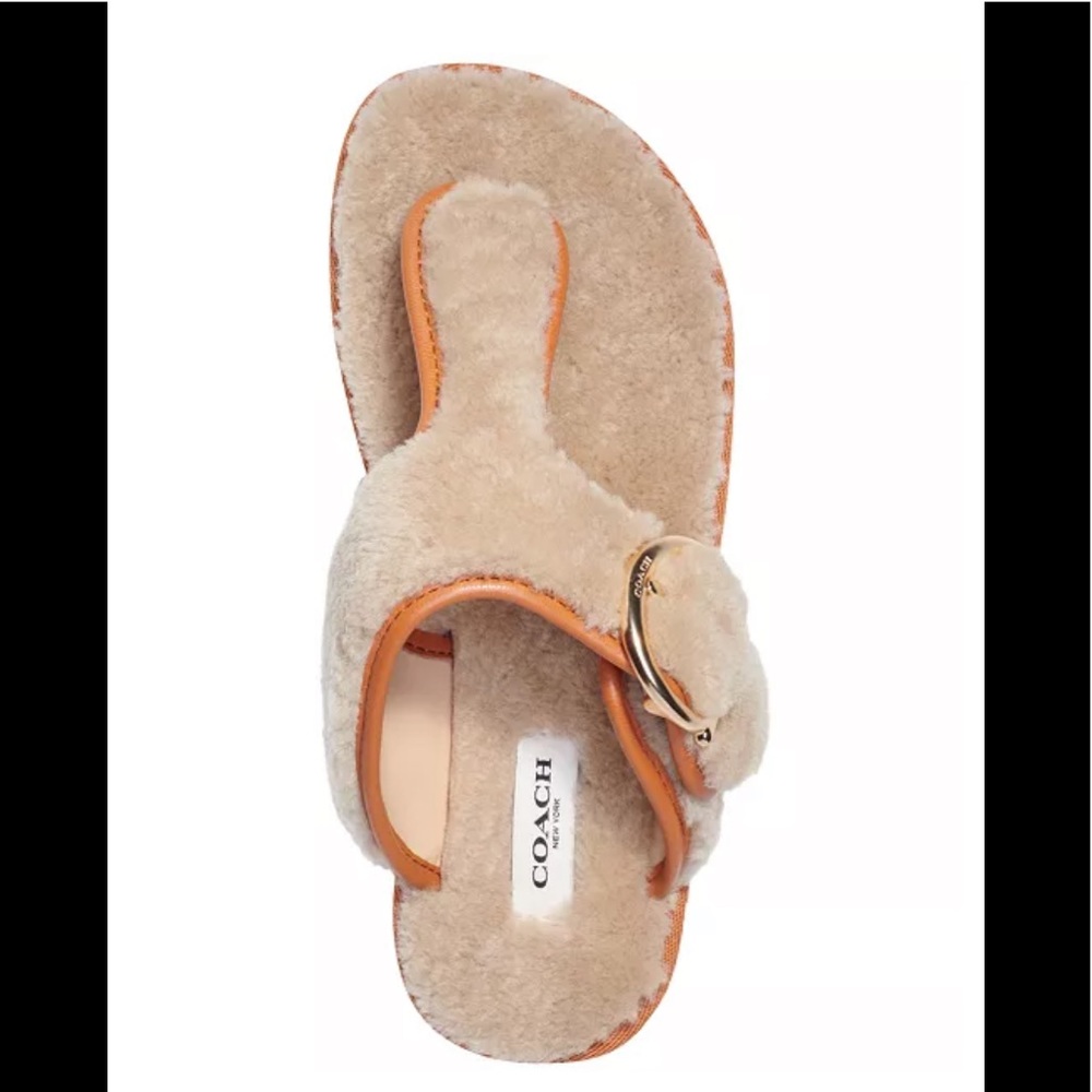 NWT COACH Women's Hollie Cozy T-Strap Slippers - Picture 4 of 11